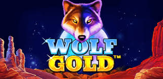 Wolf Gold